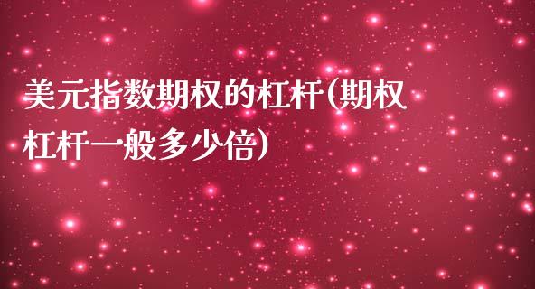 美元指数期权的杠杆(期权杠杆一般多少倍)_https://www.qianjuhuagong.com_期货平台_第1张