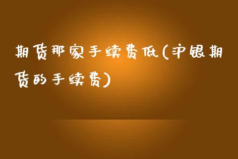 期货那家手续费低(沪银期货的手续费)_https://www.qianjuhuagong.com_期货平台_第1张