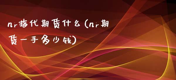 nr指代期货什么(nr期货一手多少钱)_https://www.qianjuhuagong.com_期货百科_第1张