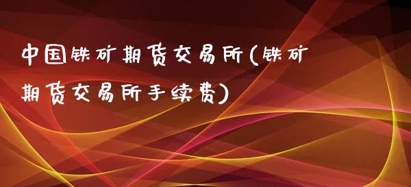 中国铁矿期货交易所(铁矿期货交易所手续费)_https://www.qianjuhuagong.com_期货行情_第1张