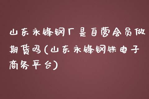 山东永锋钢厂是自营会员做期货吗(山东永锋钢铁电子商务平台)_https://www.qianjuhuagong.com_期货百科_第1张