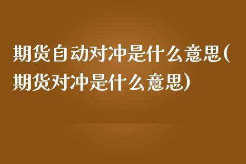 期货自动对冲是什么意思(期货对冲是什么意思)_https://www.qianjuhuagong.com_期货开户_第1张