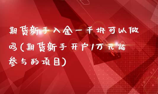 期货新手入金一千块可以做吗(期货新手开户1万元能参与的项目)_https://www.qianjuhuagong.com_期货百科_第1张