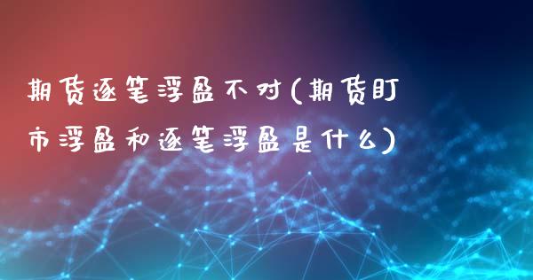 期货逐笔浮盈不对(期货盯市浮盈和逐笔浮盈是什么)_https://www.qianjuhuagong.com_期货开户_第1张