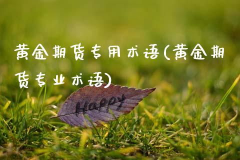 黄金期货专用术语(黄金期货专业术语)_https://www.qianjuhuagong.com_期货平台_第1张