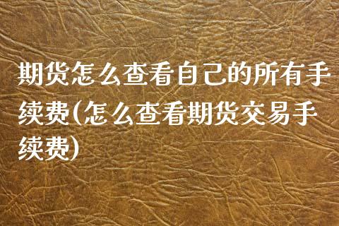 期货怎么查看自己的所有手续费(怎么查看期货交易手续费)_https://www.qianjuhuagong.com_期货百科_第1张