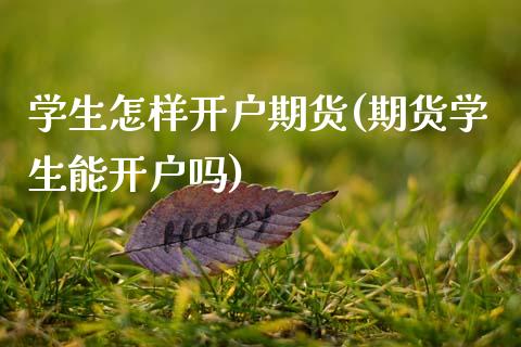 学生怎样开户期货(期货学生能开户吗)_https://www.qianjuhuagong.com_期货开户_第1张