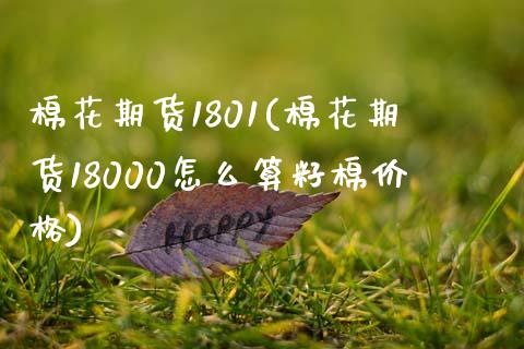 棉花期货1801(棉花期货18000怎么算籽棉价格)_https://www.qianjuhuagong.com_期货行情_第1张