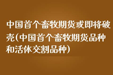 中国首个畜牧期货或即将破壳(中国首个畜牧期货品种和活体交割品种)_https://www.qianjuhuagong.com_期货百科_第1张