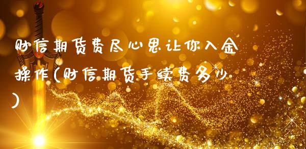 财信期货费尽心思让你入金操作(财信期货手续费多少)_https://www.qianjuhuagong.com_期货直播_第1张