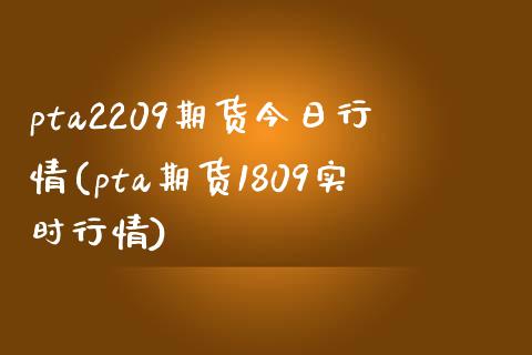 pta2209期货今日行情(pta期货1809实时行情)_https://www.qianjuhuagong.com_期货百科_第1张