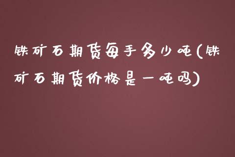 铁矿石期货每手多少吨(铁矿石期货价格是一吨吗)_https://www.qianjuhuagong.com_期货百科_第1张