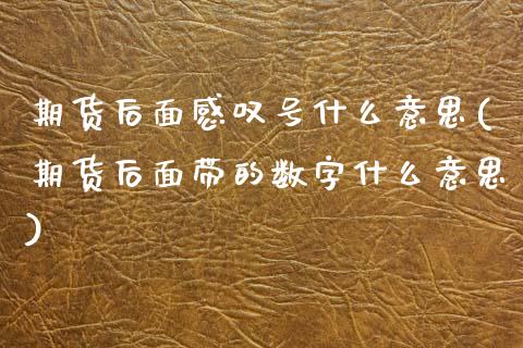 期货后面感叹号什么意思(期货后面带的数字什么意思)_https://www.qianjuhuagong.com_期货直播_第1张