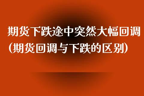 期货下跌途中突然大幅回调(期货回调与下跌的区别)_https://www.qianjuhuagong.com_期货开户_第1张