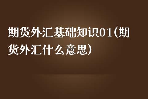 期货外汇基础知识01(期货外汇什么意思)_https://www.qianjuhuagong.com_期货平台_第1张