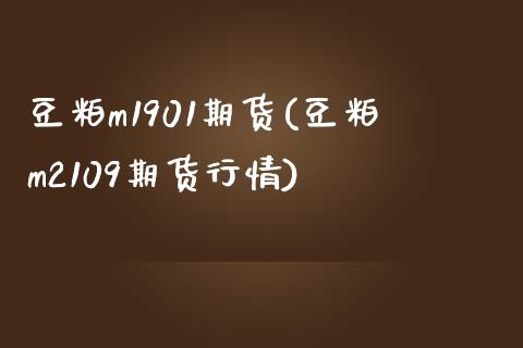 豆粕m1901期货(豆粕m2109期货行情)_https://www.qianjuhuagong.com_期货百科_第1张