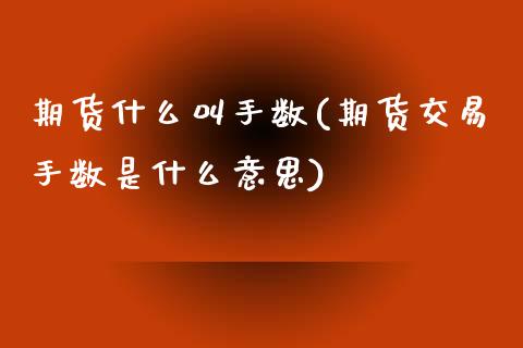 期货什么叫手数(期货交易手数是什么意思)_https://www.qianjuhuagong.com_期货直播_第1张