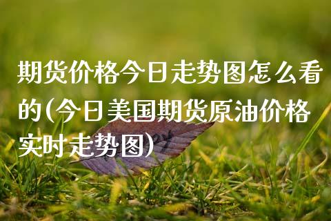 期货价格今日走势图怎么看的(今日美国期货原油价格实时走势图)_https://www.qianjuhuagong.com_期货开户_第1张