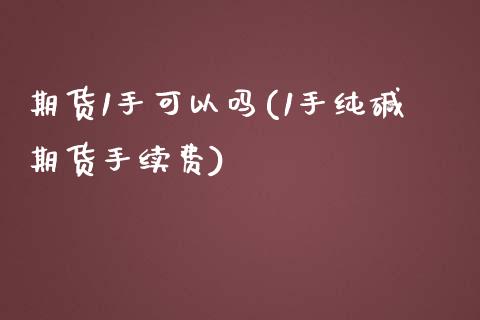 期货1手可以吗(1手纯碱期货手续费)_https://www.qianjuhuagong.com_期货平台_第1张