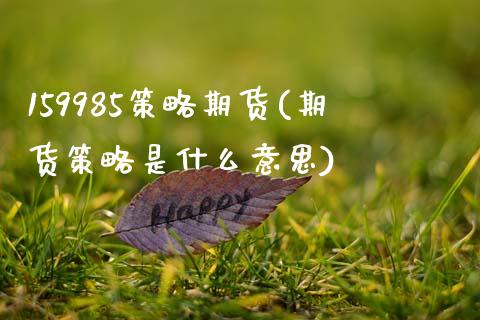 159985策略期货(期货策略是什么意思)_https://www.qianjuhuagong.com_期货平台_第1张