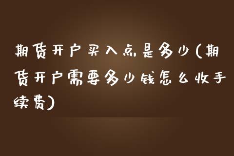 期货开户买入点是多少(期货开户需要多少钱怎么收手续费)_https://www.qianjuhuagong.com_期货平台_第1张