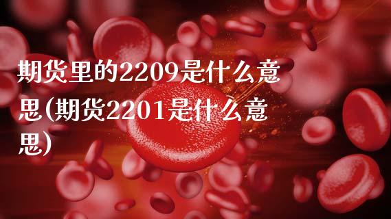 期货里的2209是什么意思(期货2201是什么意思)_https://www.qianjuhuagong.com_期货行情_第1张