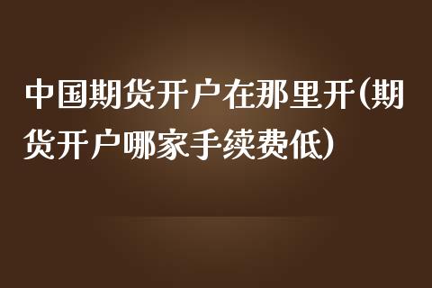 中国期货开户在那里开(期货开户哪家手续费低)_https://www.qianjuhuagong.com_期货行情_第1张