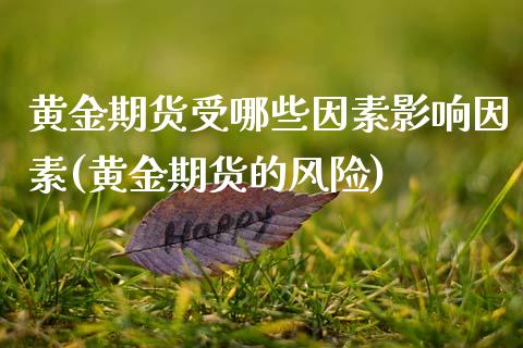 黄金期货受哪些因素影响因素(黄金期货的风险)_https://www.qianjuhuagong.com_期货百科_第1张