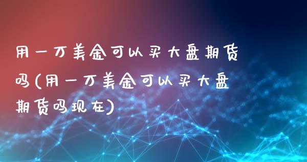 用一万美金可以买大盘期货吗(用一万美金可以买大盘期货吗现在)_https://www.qianjuhuagong.com_期货平台_第1张