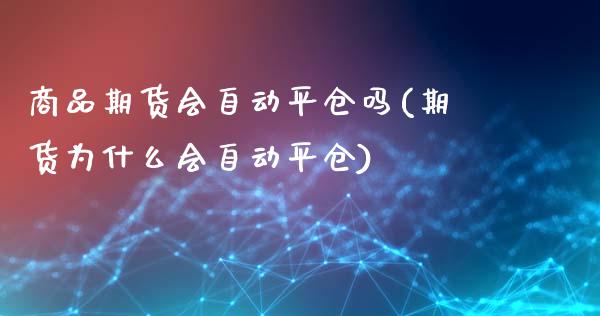 商品期货会自动平仓吗(期货为什么会自动平仓)_https://www.qianjuhuagong.com_期货开户_第1张