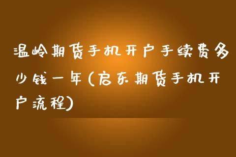 温岭期货手机开户手续费多少钱一年(启东期货手机开户流程)_https://www.qianjuhuagong.com_期货百科_第1张