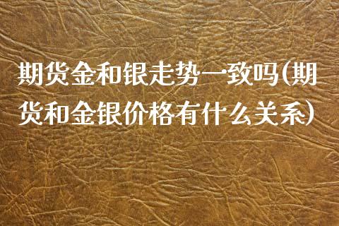 期货金和银走势一致吗(期货和金银价格有什么关系)_https://www.qianjuhuagong.com_期货开户_第1张