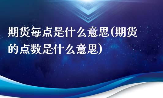 期货每点是什么意思(期货的点数是什么意思)_https://www.qianjuhuagong.com_期货平台_第1张