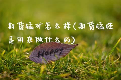 期货锰矿怎么样(期货锰硅是用来做什么的)_https://www.qianjuhuagong.com_期货平台_第1张