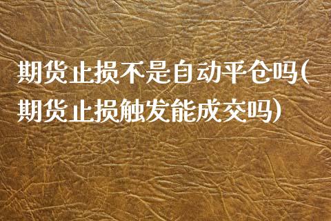 期货止损不是自动平仓吗(期货止损触发能成交吗)_https://www.qianjuhuagong.com_期货开户_第1张