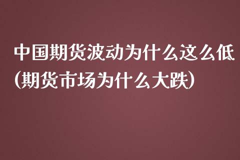 中国期货波动为什么这么低(期货市场为什么大跌)_https://www.qianjuhuagong.com_期货平台_第1张