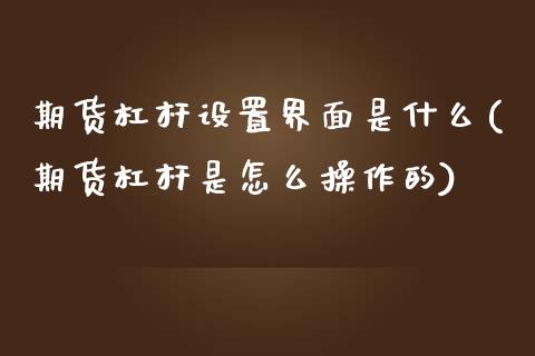 期货杠杆设置界面是什么(期货杠杆是怎么操作的)_https://www.qianjuhuagong.com_期货平台_第1张