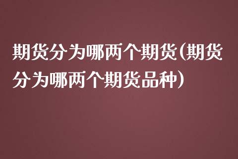 期货分为哪两个期货(期货分为哪两个期货品种)_https://www.qianjuhuagong.com_期货平台_第1张