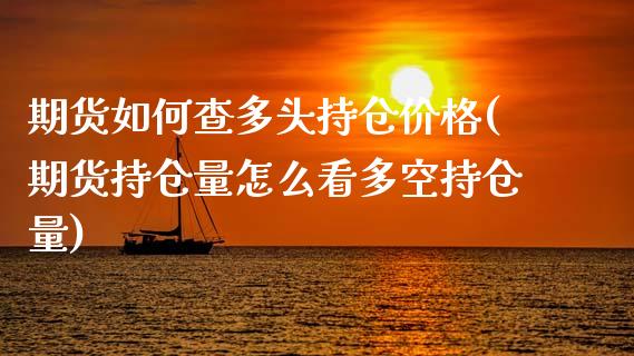 期货如何查多头持仓价格(期货持仓量怎么看多空持仓量)_https://www.qianjuhuagong.com_期货百科_第1张