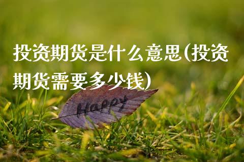 投资期货是什么意思(投资期货需要多少钱)_https://www.qianjuhuagong.com_期货平台_第1张