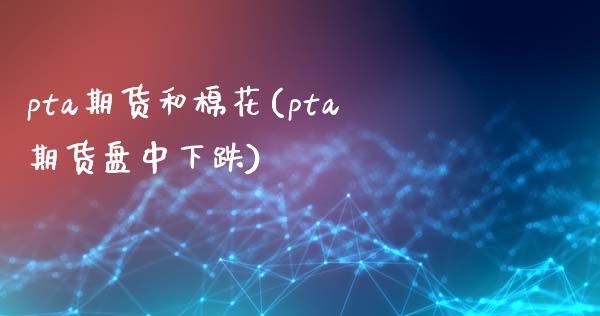 pta期货和棉花(pta期货盘中下跌)_https://www.qianjuhuagong.com_期货平台_第1张