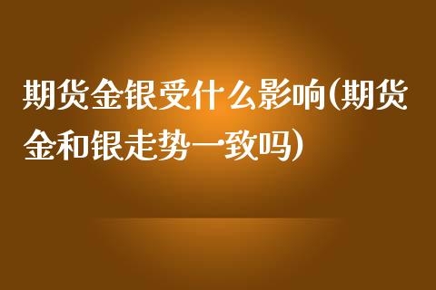 期货金银受什么影响(期货金和银走势一致吗)_https://www.qianjuhuagong.com_期货直播_第1张