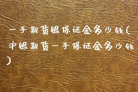 一手期货银保证金多少钱(沪银期货一手保证金多少钱)_https://www.qianjuhuagong.com_期货开户_第1张