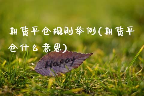 期货平仓规则举例(期货平仓什么意思)_https://www.qianjuhuagong.com_期货直播_第1张