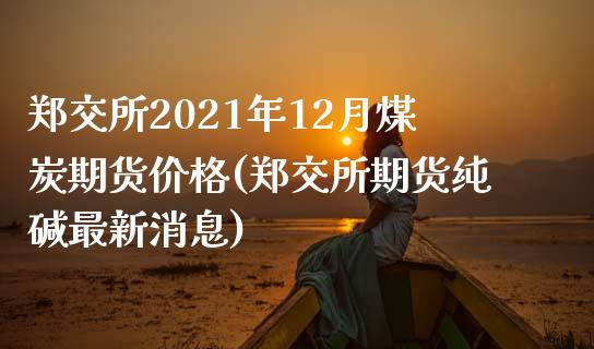 郑交所2021年12月煤炭期货价格(郑交所期货纯碱最新消息)_https://www.qianjuhuagong.com_期货直播_第1张