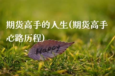 期货高手的人生(期货高手心路历程)_https://www.qianjuhuagong.com_期货行情_第1张