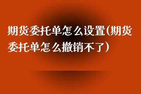 期货委托单怎么设置(期货委托单怎么撤销不了)_https://www.qianjuhuagong.com_期货行情_第1张