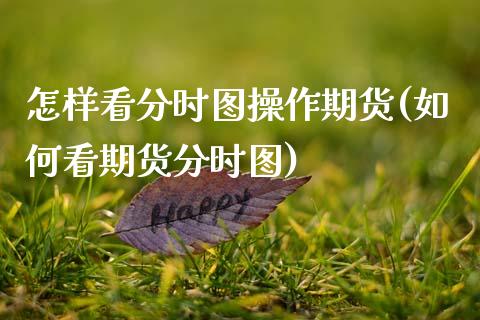 怎样看分时图操作期货(如何看期货分时图)_https://www.qianjuhuagong.com_期货百科_第1张