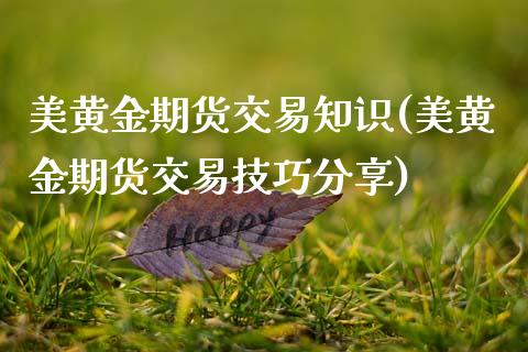 美黄金期货交易知识(美黄金期货交易技巧分享)_https://www.qianjuhuagong.com_期货行情_第1张