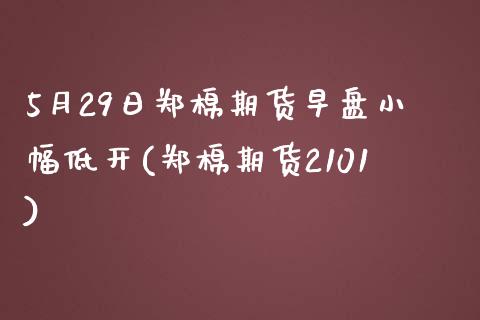 5月29日郑棉期货早盘小幅低开(郑棉期货2101)_https://www.qianjuhuagong.com_期货直播_第1张